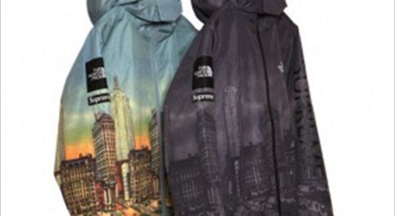 Supreme / The North Face. | Fool's Judge Street Blog